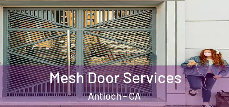 Mesh Door Services Antioch - CA